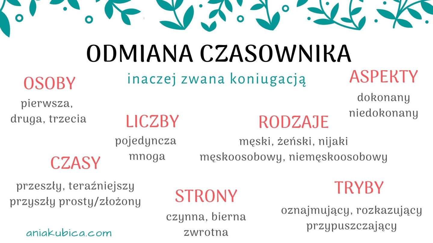 Wszystko O Czasowniku Klasa 5 Czasownik od podstaw – Język polski